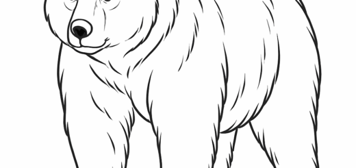 Printable bear colouring page