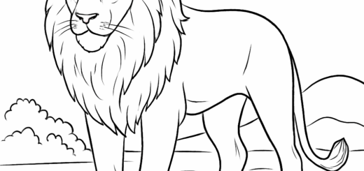 Lew - kolorowanka